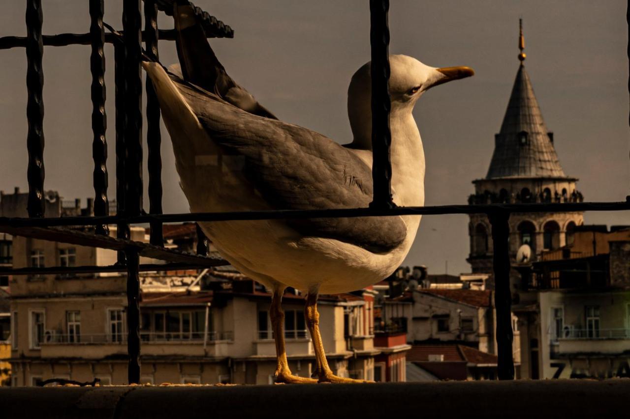 Galata M84 Aparthotel Istanbul Exterior photo